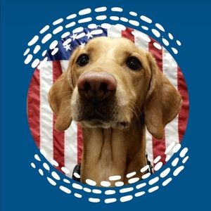 Meet your Posher, Rony